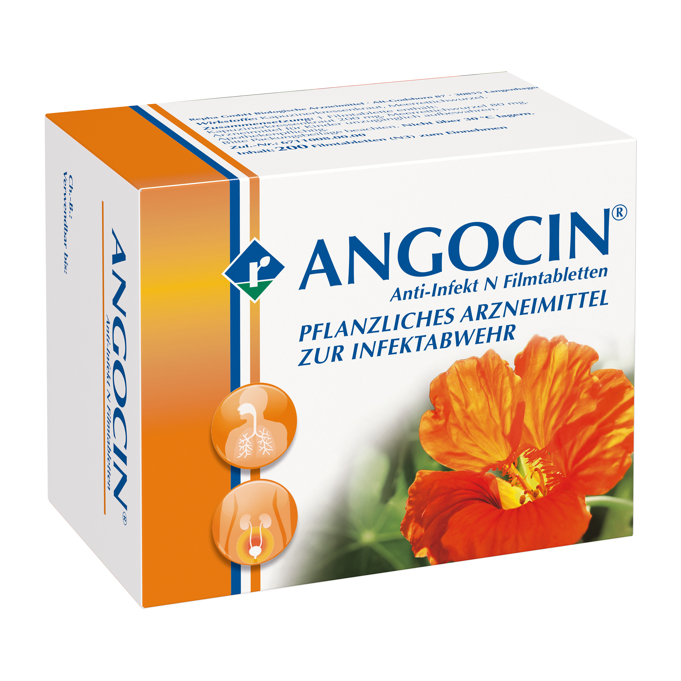 ANGOCIN Anti Infekt N Filmtabletten