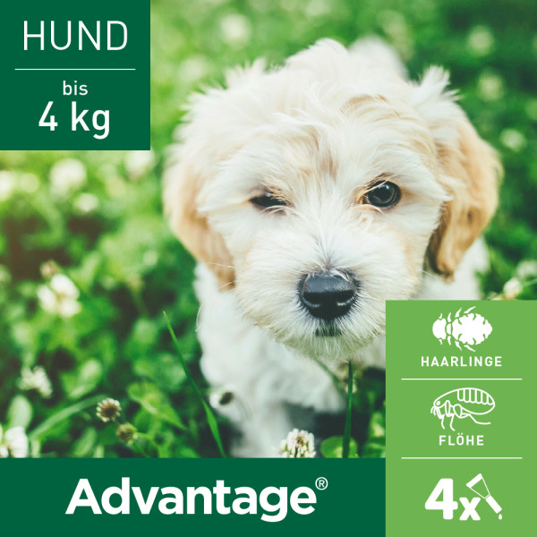 ADVANTAGE 40 Lösung f.Hunde bis 4 kg