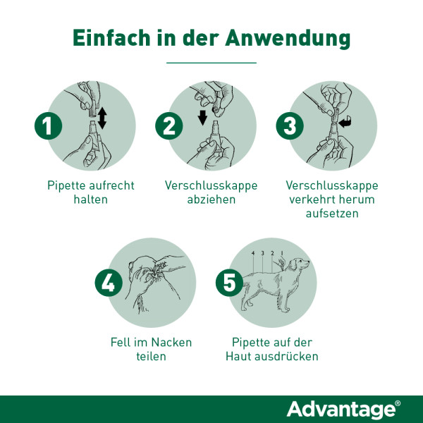 ADVANTAGE 250 Lösung f.Hunde 10-25 kg