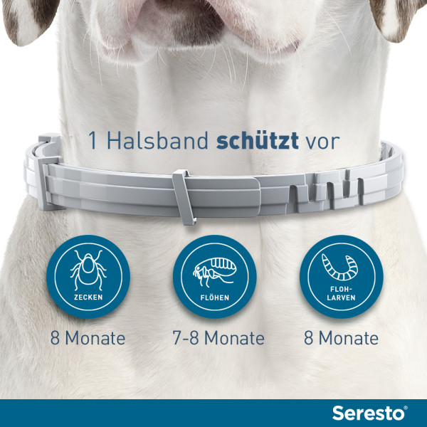 SERESTO 4,50g + 2,03g Halsband für Hunde ab 8kg