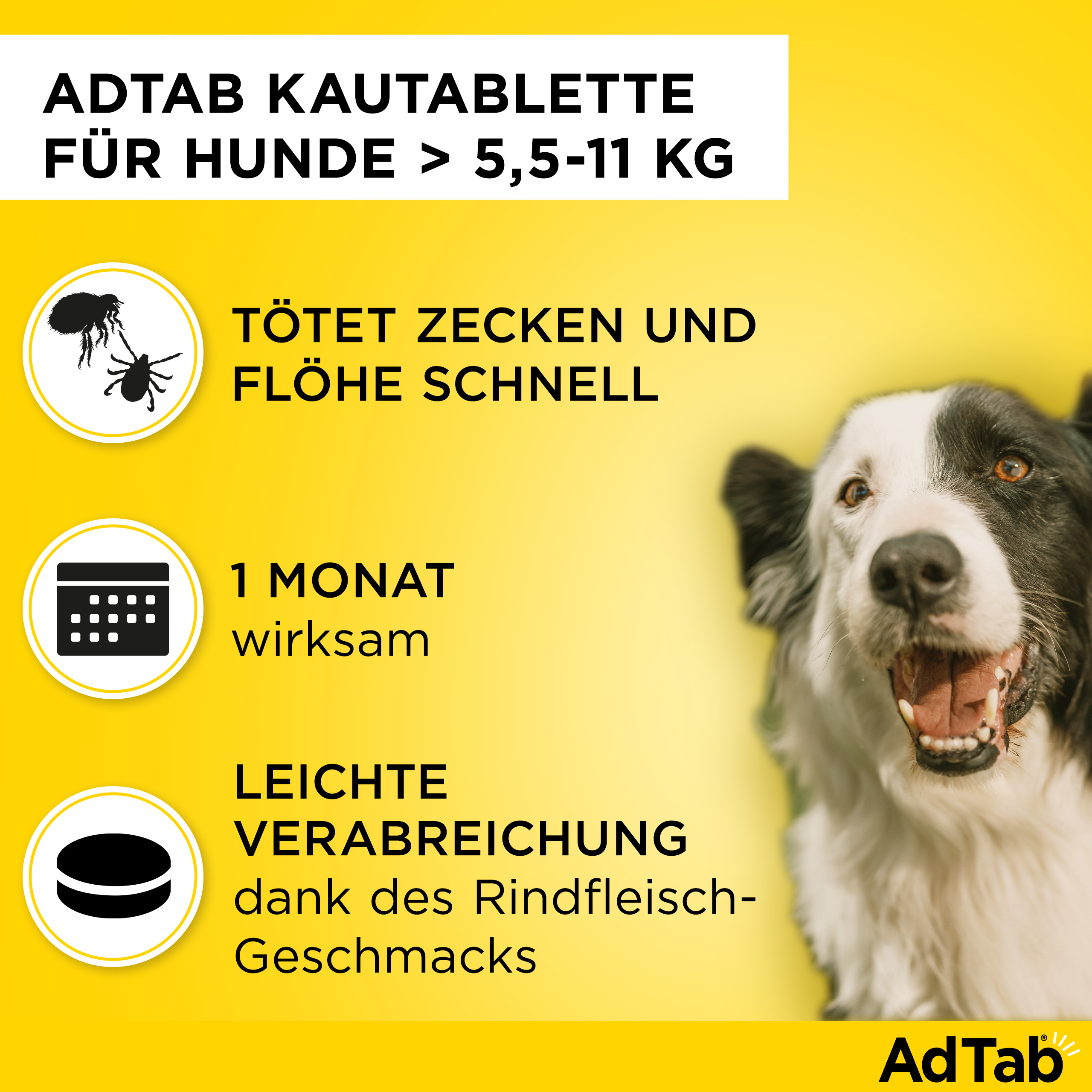 ADTAB 225 mg Kautabletten für Hunde >5,5-11 kg