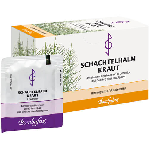 SCHACHTELHALMKRAUT Tee Filterbeutel