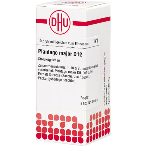 PLANTAGO MAJOR D 12 Globuli