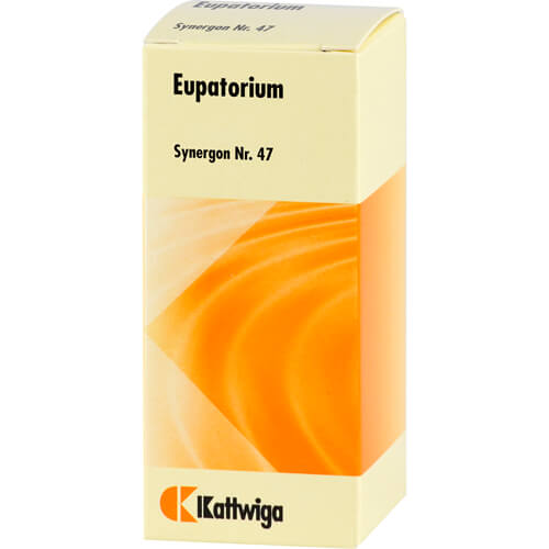 SYNERGON KOMPLEX 47 Eupatorium Tropfen