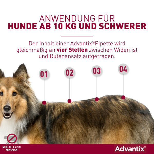 ADVANTIX Spot-on Lsg.z.Auftr.a.d.H.f.Hund 10-25 kg