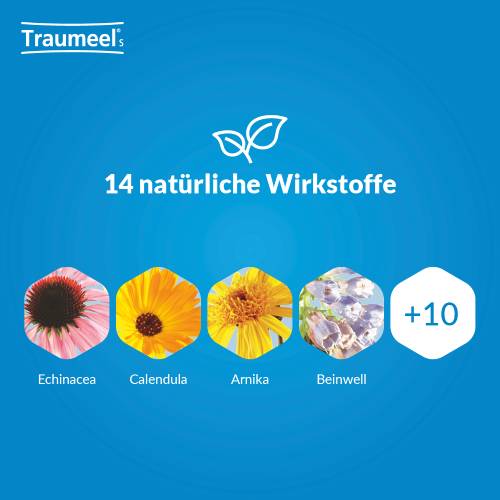 TRAUMEEL S Tabletten