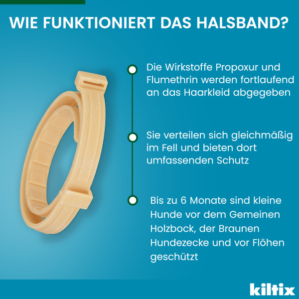 KILTIX Halsband f.kleine Hunde