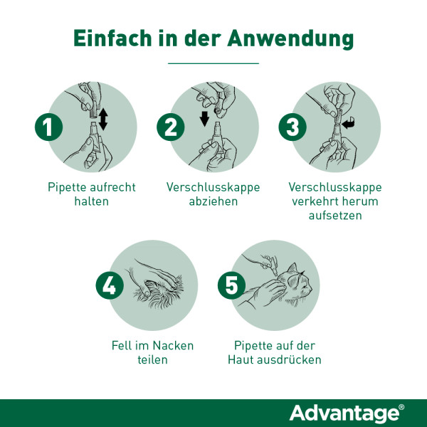 ADVANTAGE 80 mg f.gr.Katzen u.gr.Zierkaninchen