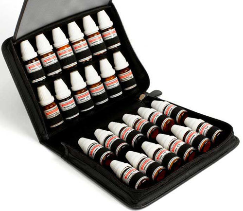 TASCHENAPOTHEKE f.24 10 g DHU Gl.bis 25x70 mm