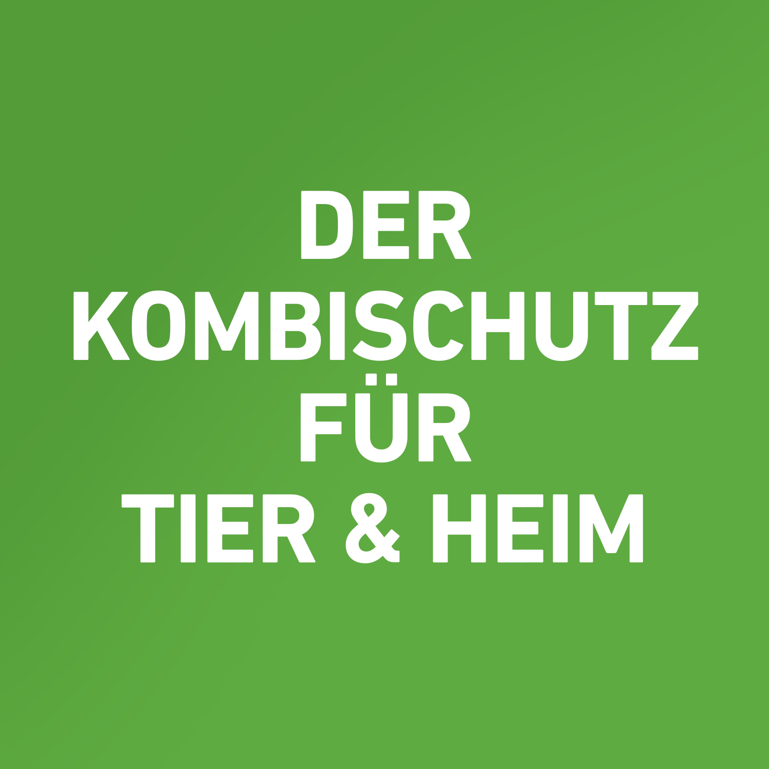 FRONTLINE Combo Spot on Katze Lsg.z.Auft.a.Haut