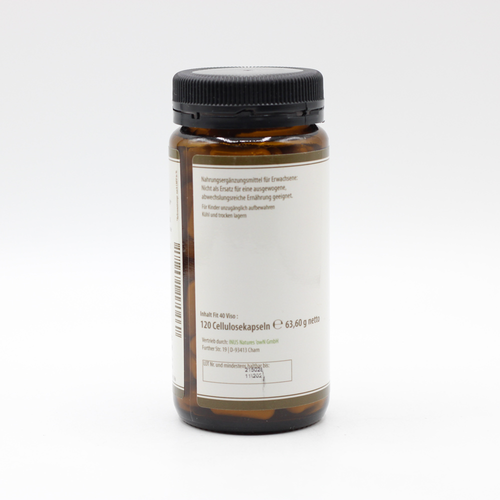 FIT 40 Viso Kapseln