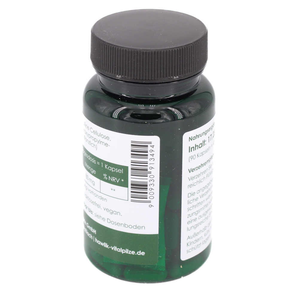 GINKGO BILOBA EXTRAKT Kapseln