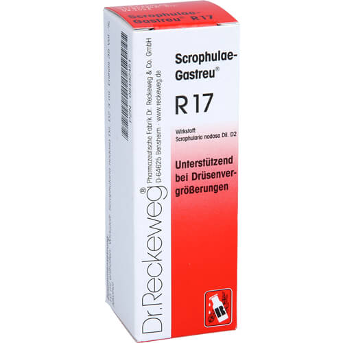 SCROPHULAE-Gastreu R17 Mischung